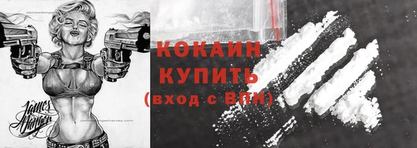меф Дмитриев